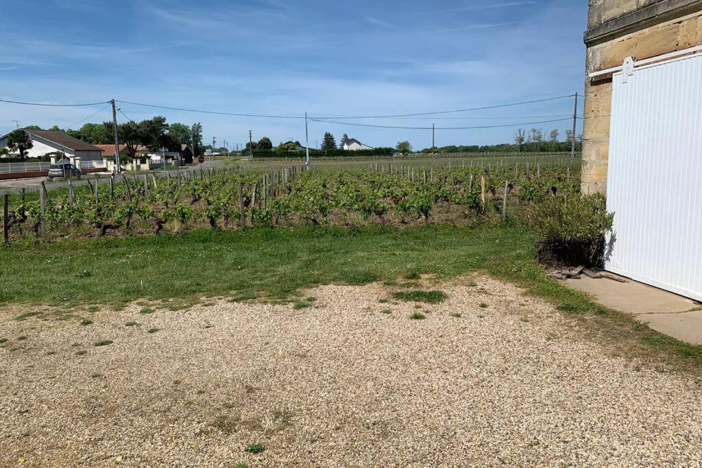 Chateau Roseyrol Proche Saint-Emilion Экстерьер фото